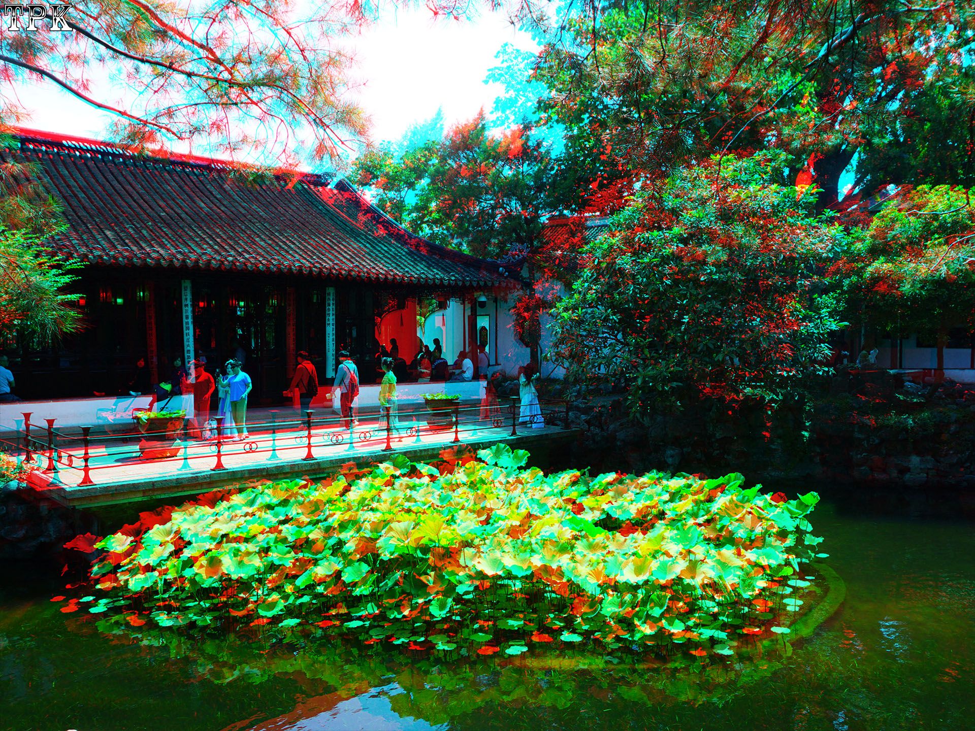 X 260609N 018 怡园(32) 43 XRC.jpg
