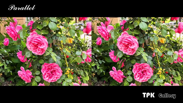 260517Mate 2324(25) 43 +LRsY.jpg