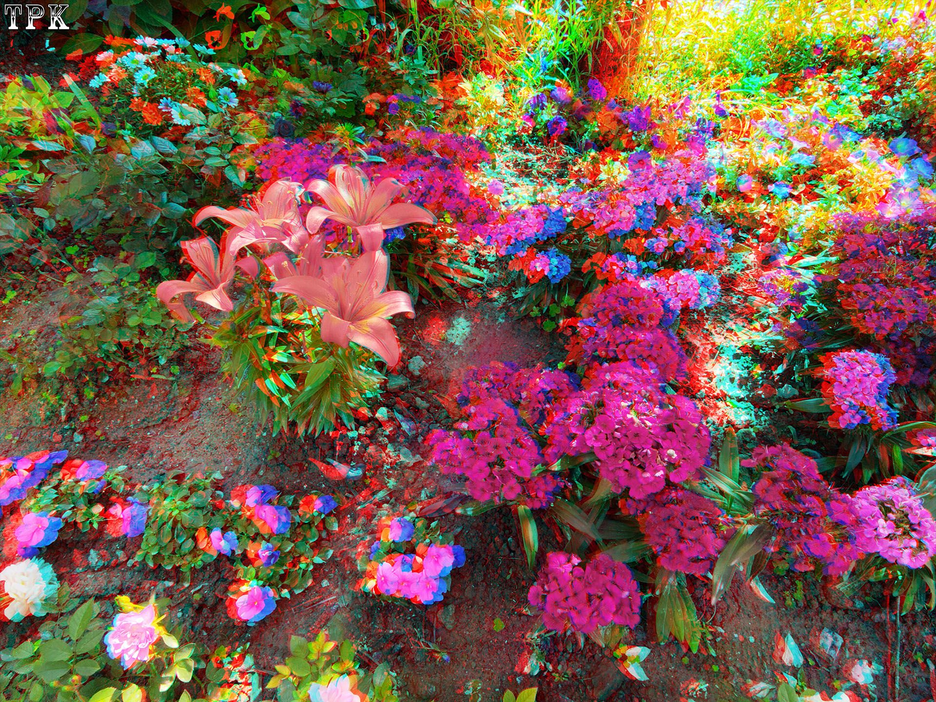 X 260430X 06(23) 43 XRC.jpg