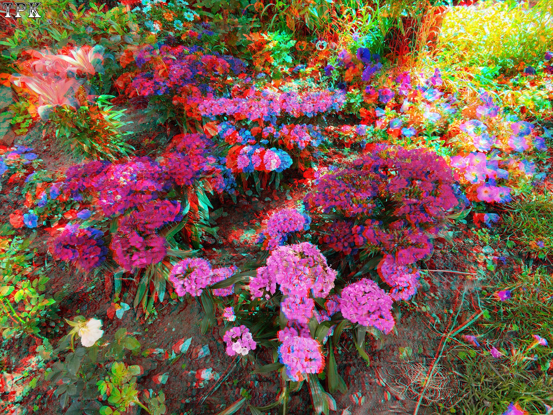 X 260430X 08(23) 43 XRC.jpg