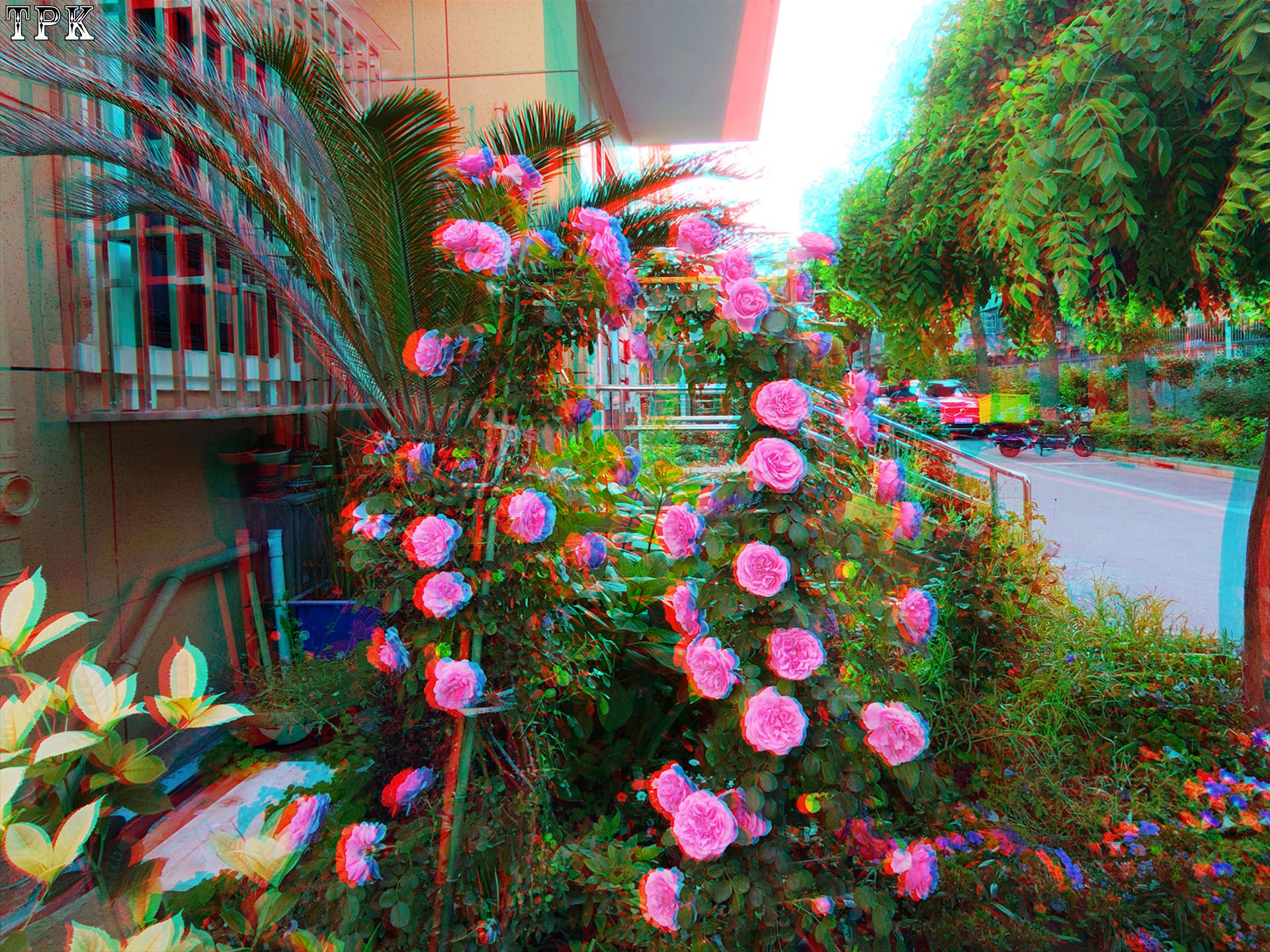 X 260516 XREAL04(29) 43 XRC.jpg
