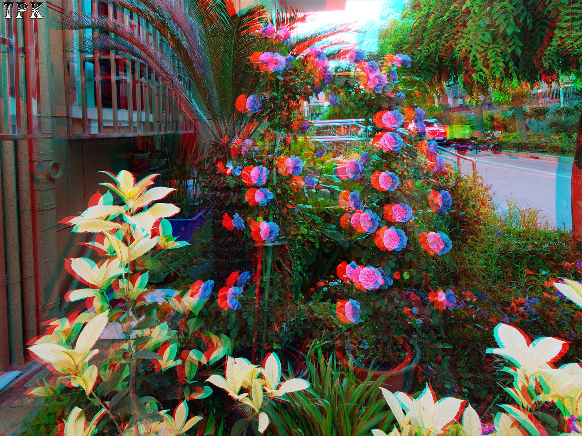 X 260516 XREAL05(19) 43 XRC.jpg