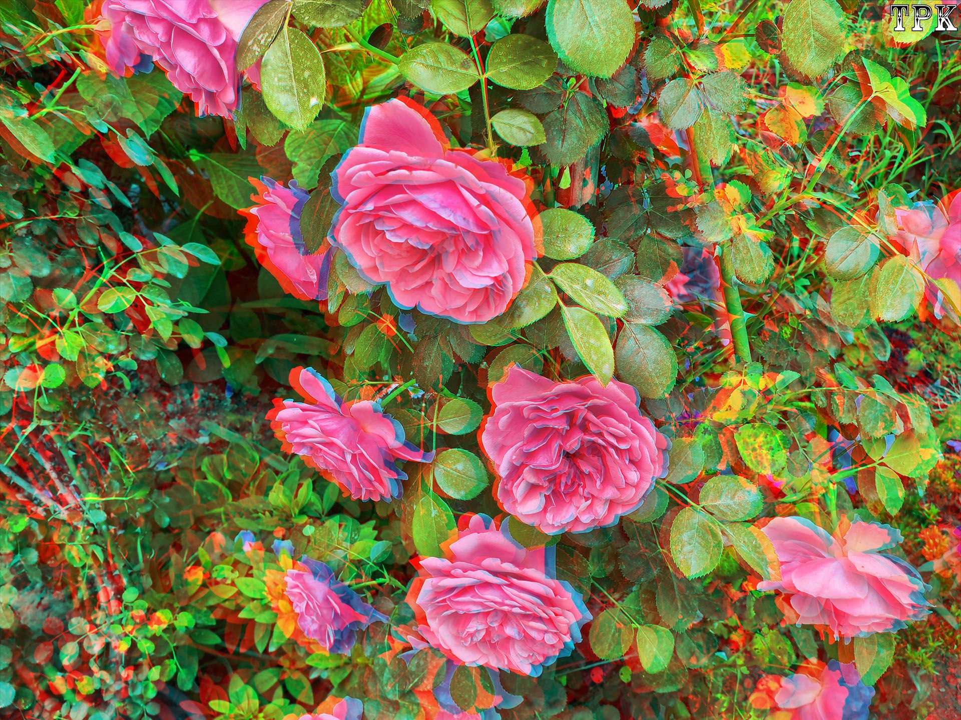 X 260517Mate 1416(24) 43 XRC.jpg