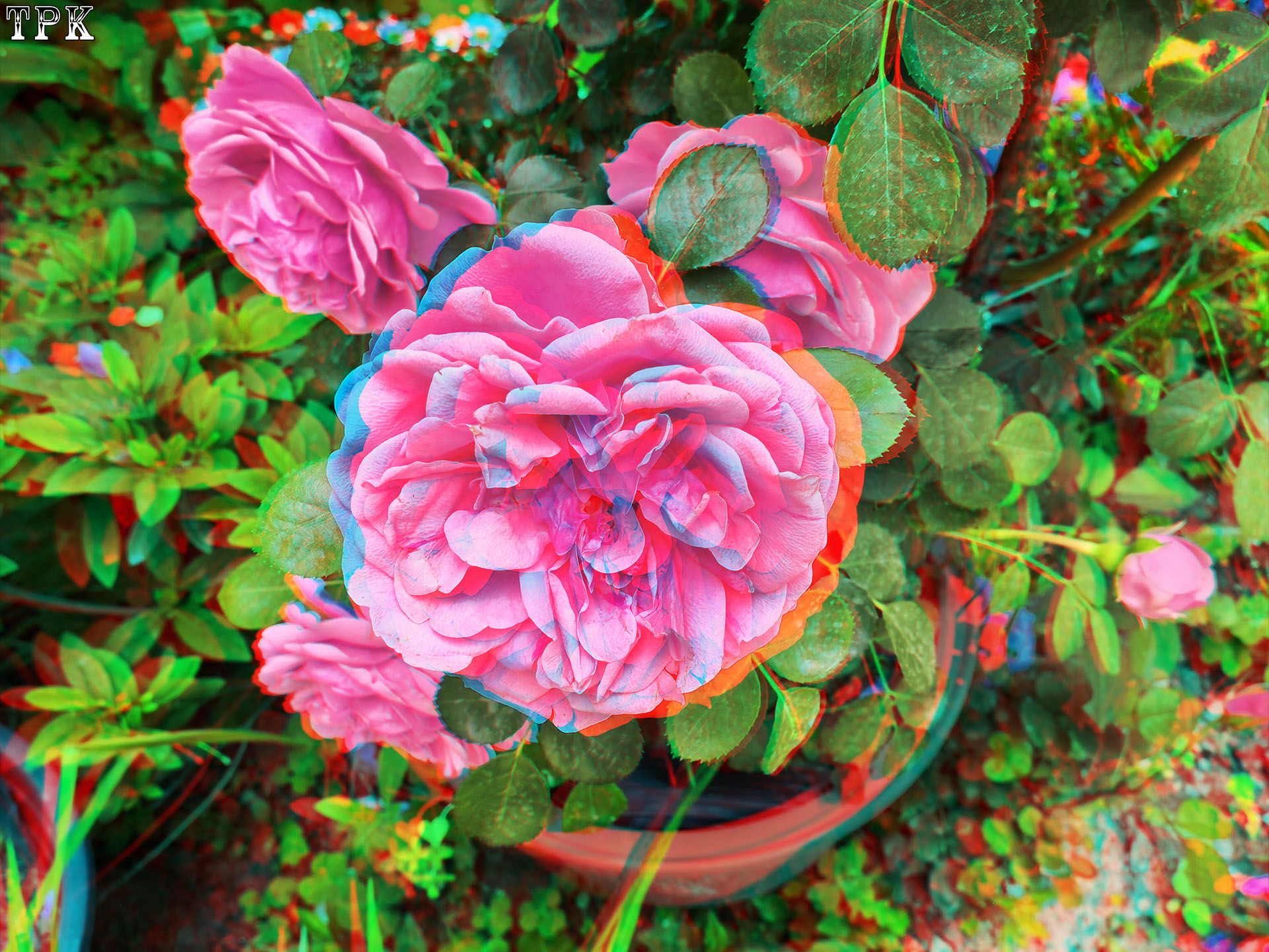 X 260517Mate 3031(17) 43 XRC.jpg