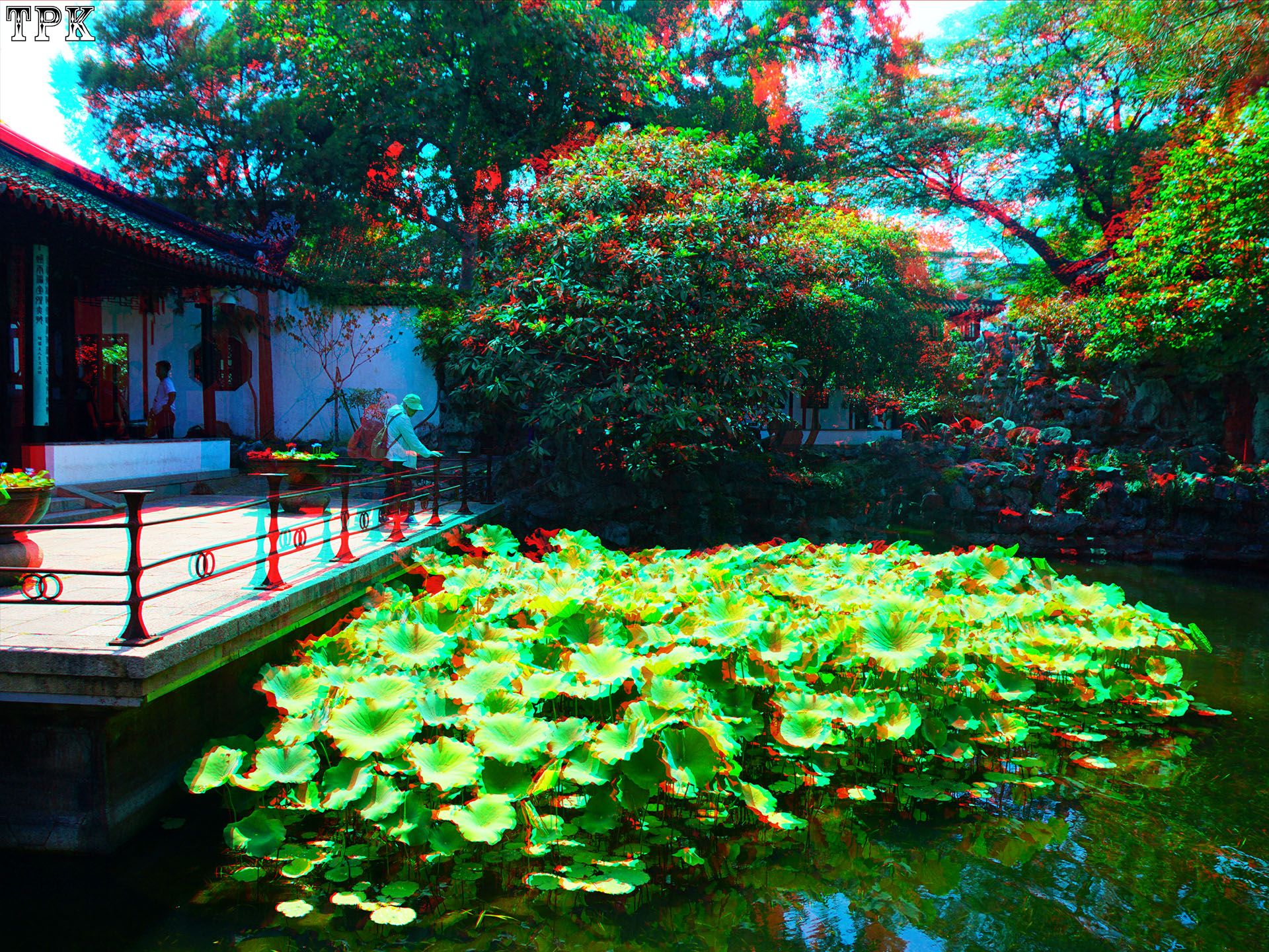 X 260609N 040 怡园(31) 43 XRC.jpg