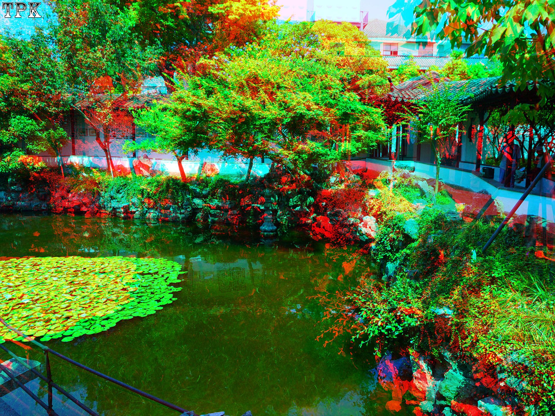 X 260609N 046 怡园(18) 43 XRC.jpg