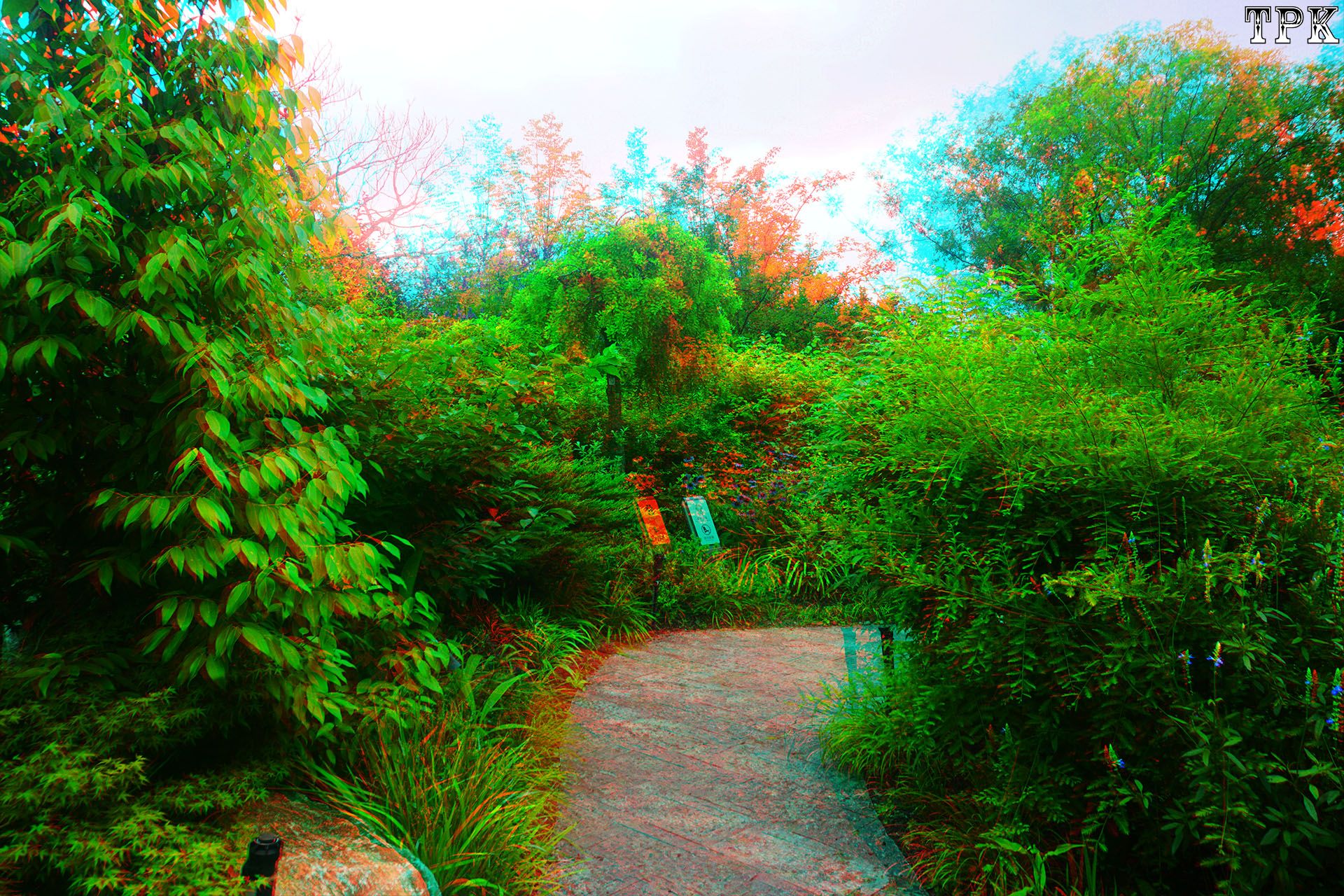 X 260617N 021(20) 32 XRC.jpg