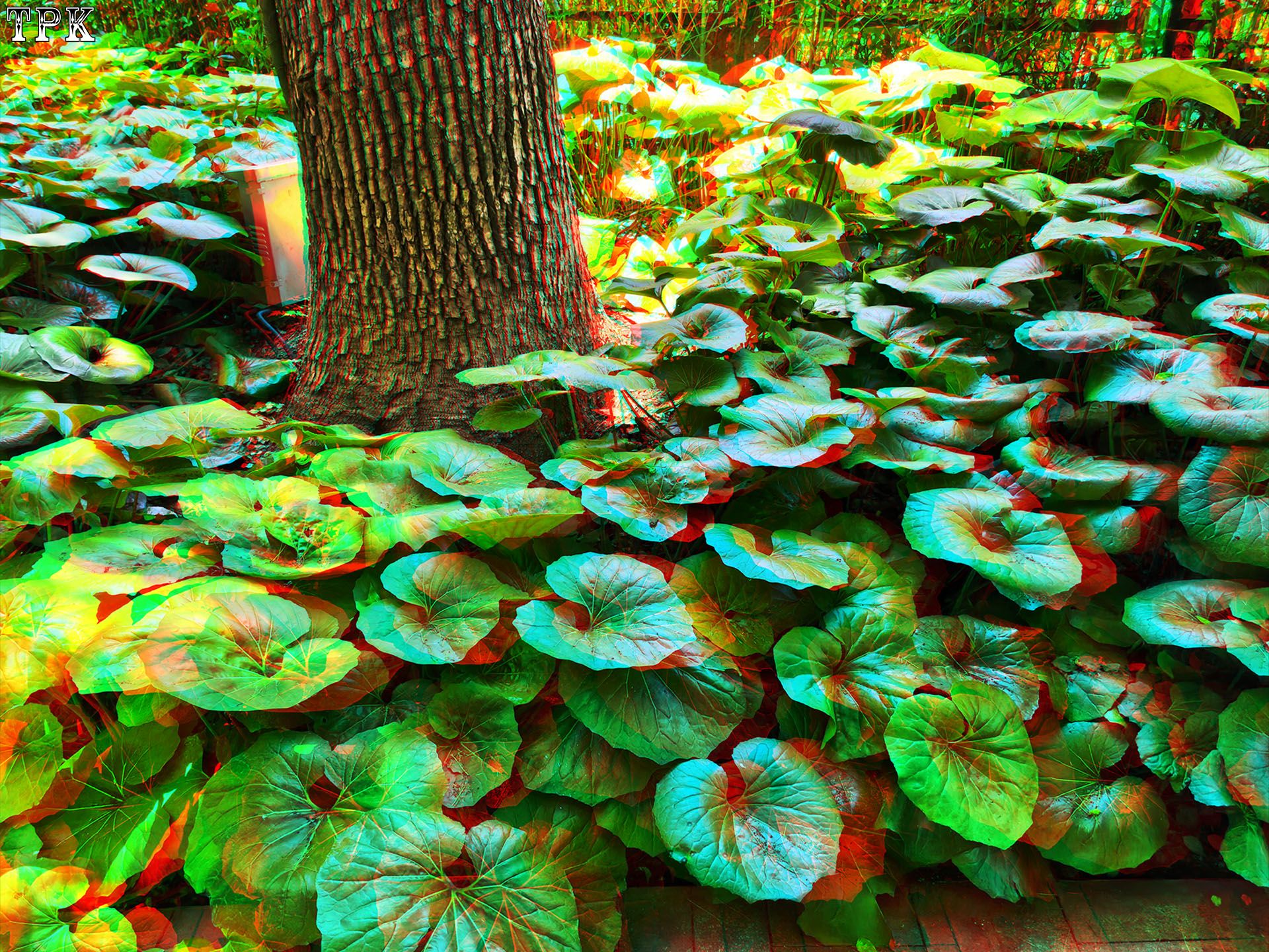 X 260531C-M 90(14)2 43 XRC.jpg