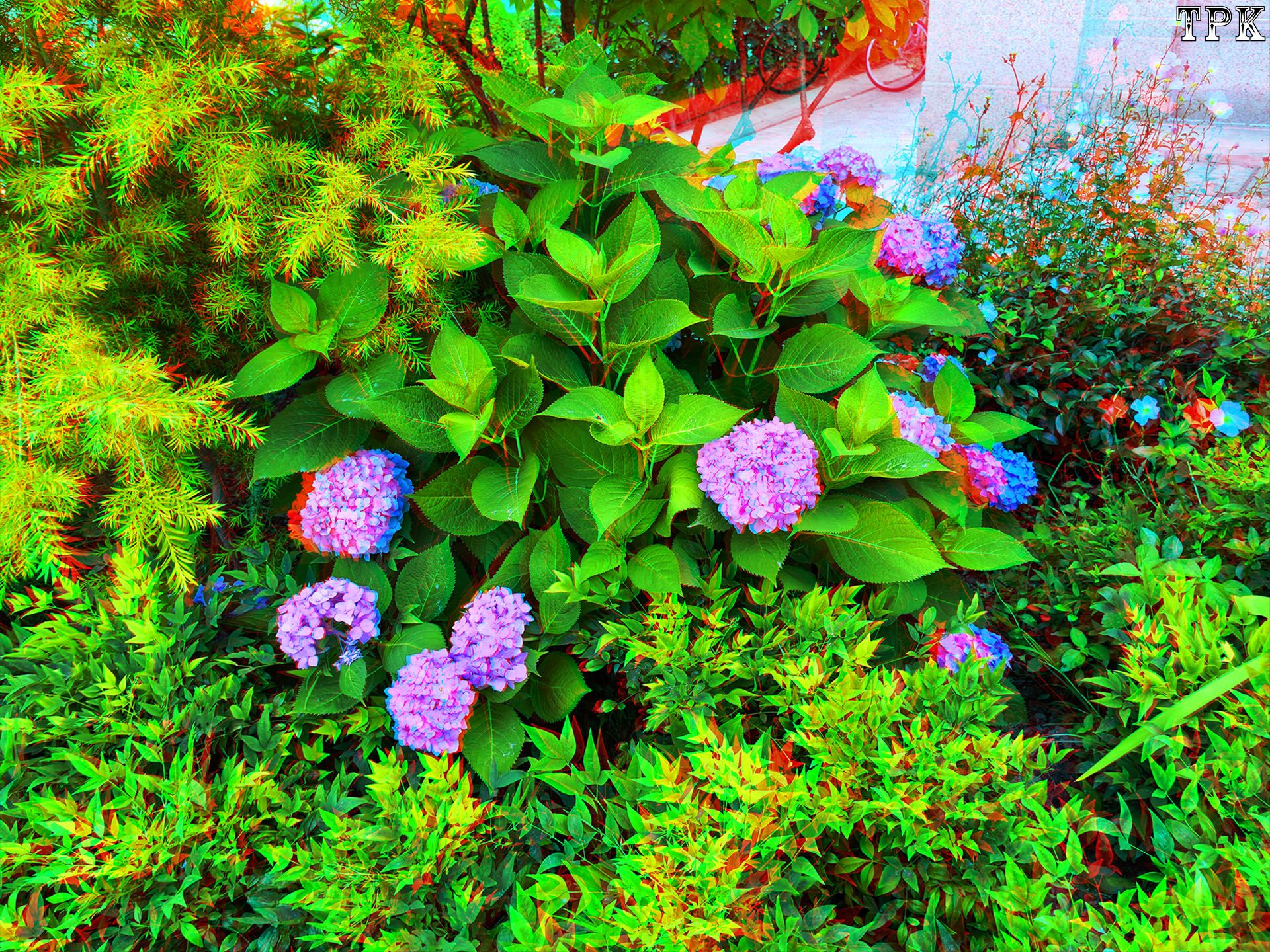 X 260531C-M 19(18) 43 XRC.jpg