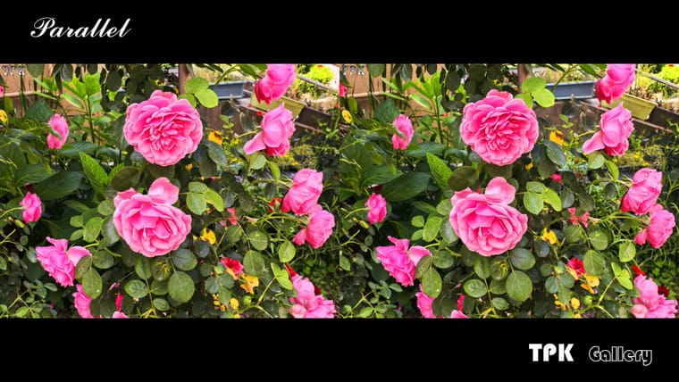 260517Mate 0809(20) 43 +LRsY.jpg