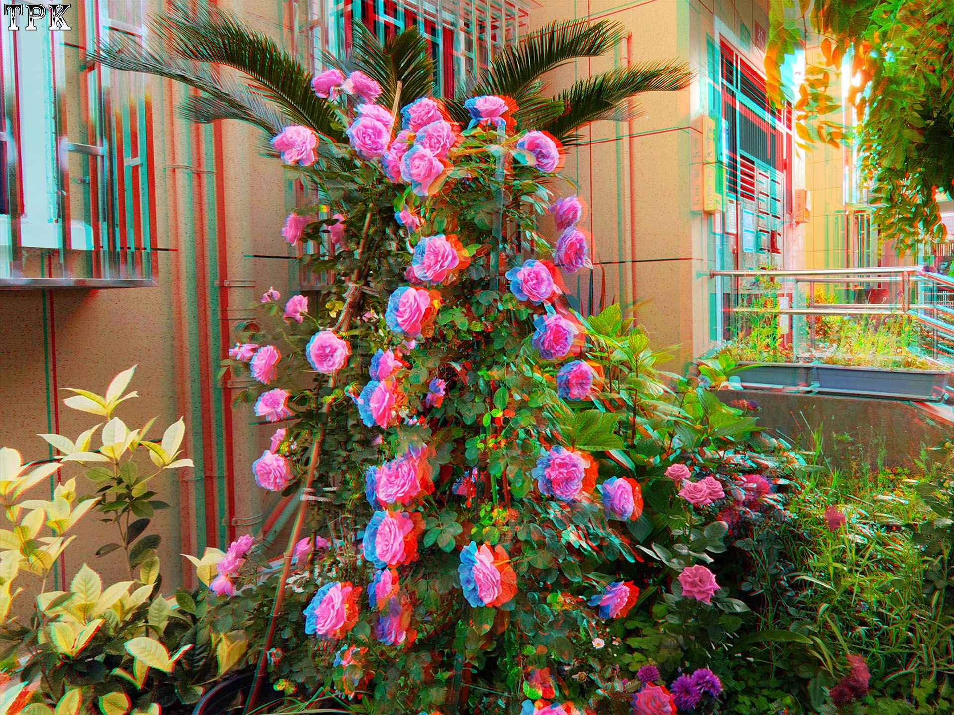 X 260516 XREAL06(26) 43 XRC.jpg