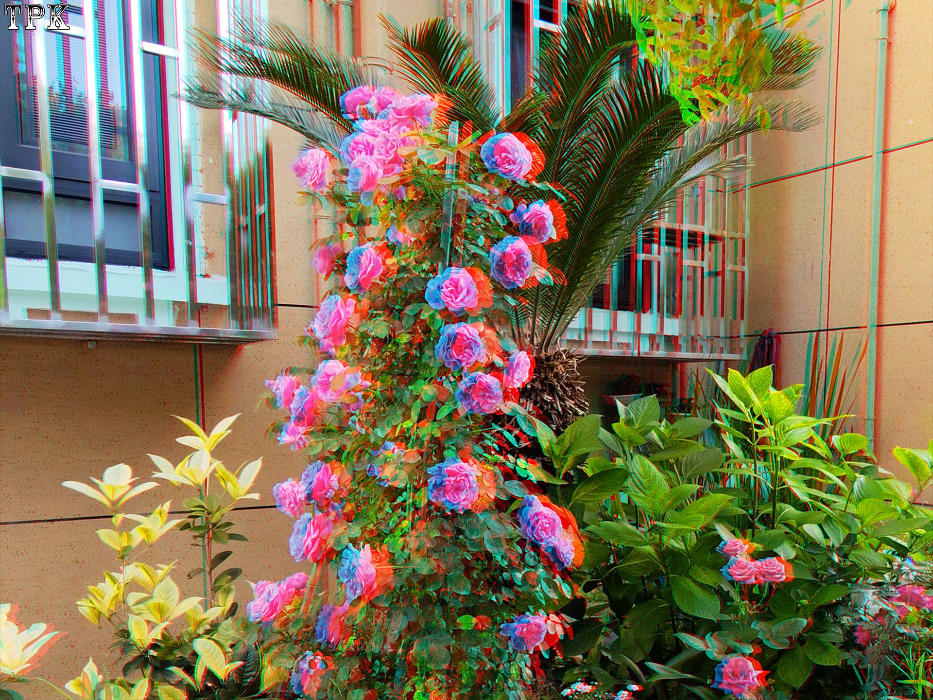 X 260516 XREAL07(31) 43 XRC.jpg