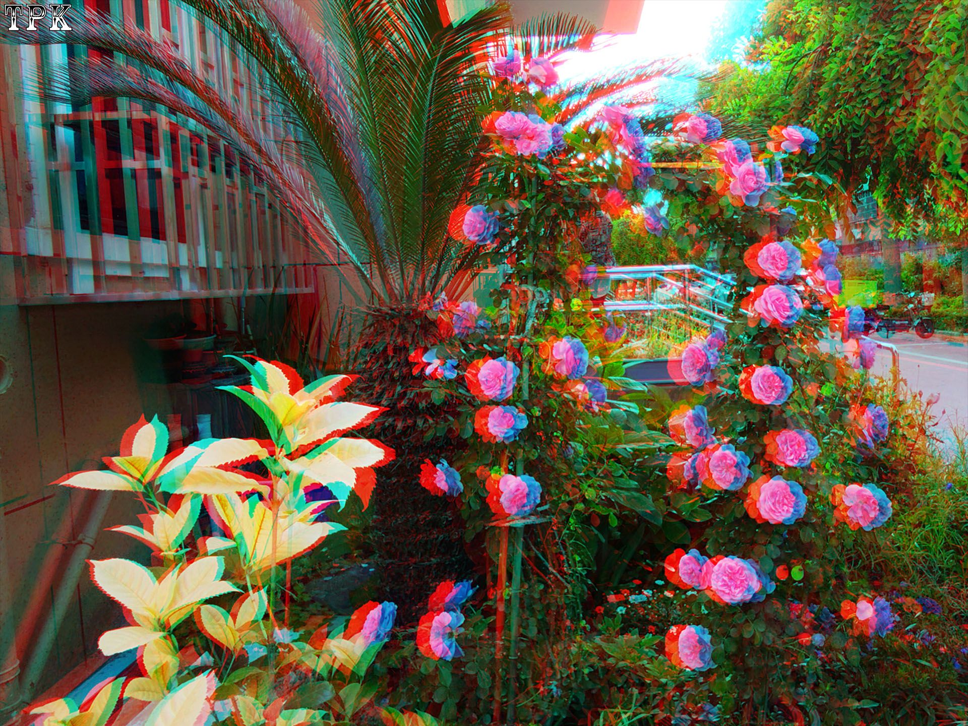 X 260516 XREAL08(16) 43 XRC.jpg