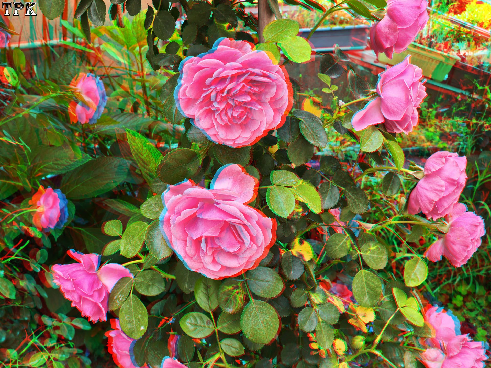 X 260517Mate 0809(20) 43 XRC.jpg