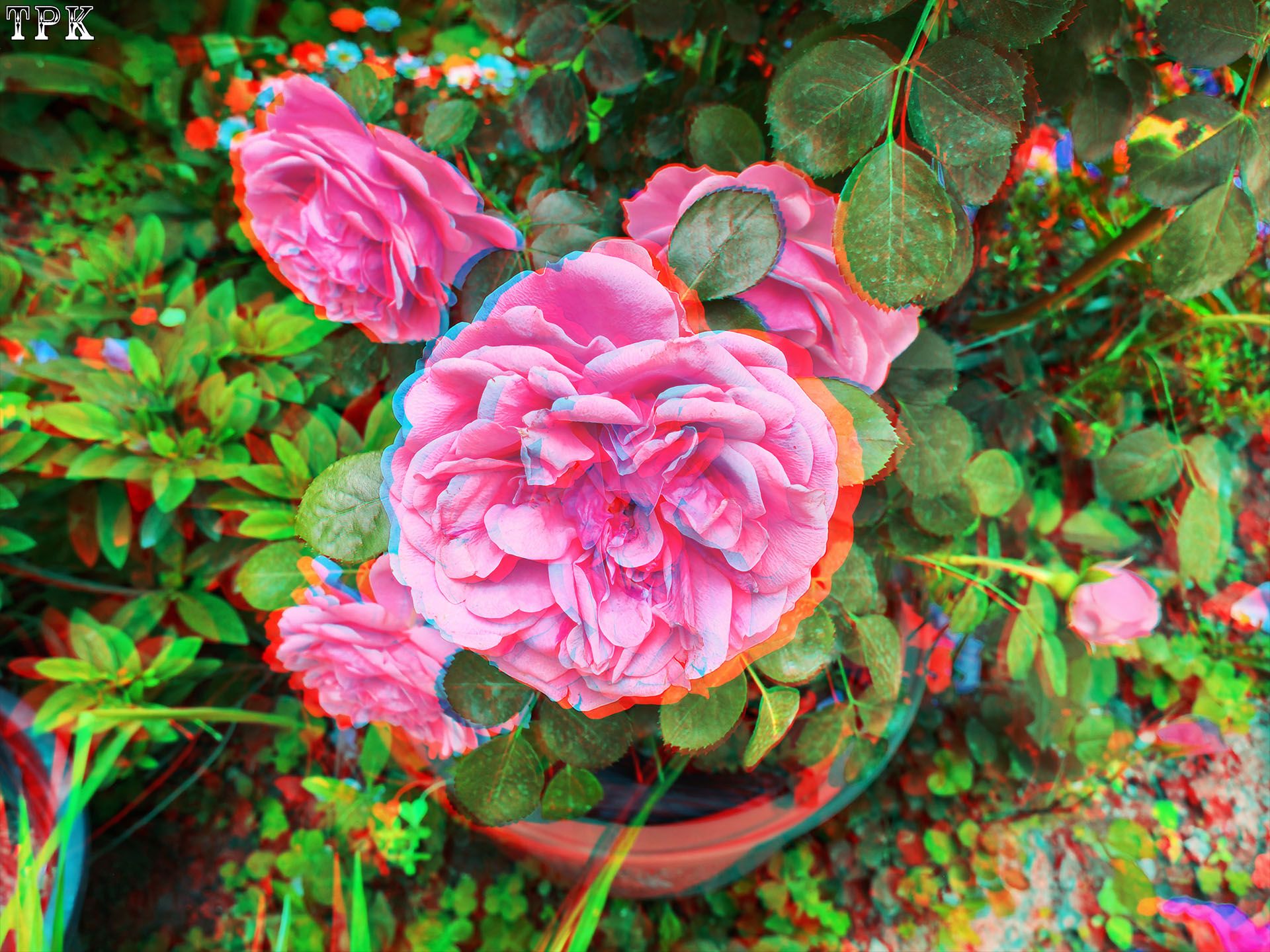 X 260517Mate 2526(20) 43 XRC.jpg