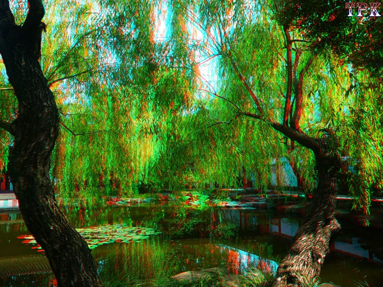 X 260611N 029 可园(40) 43 XRC.jpg
