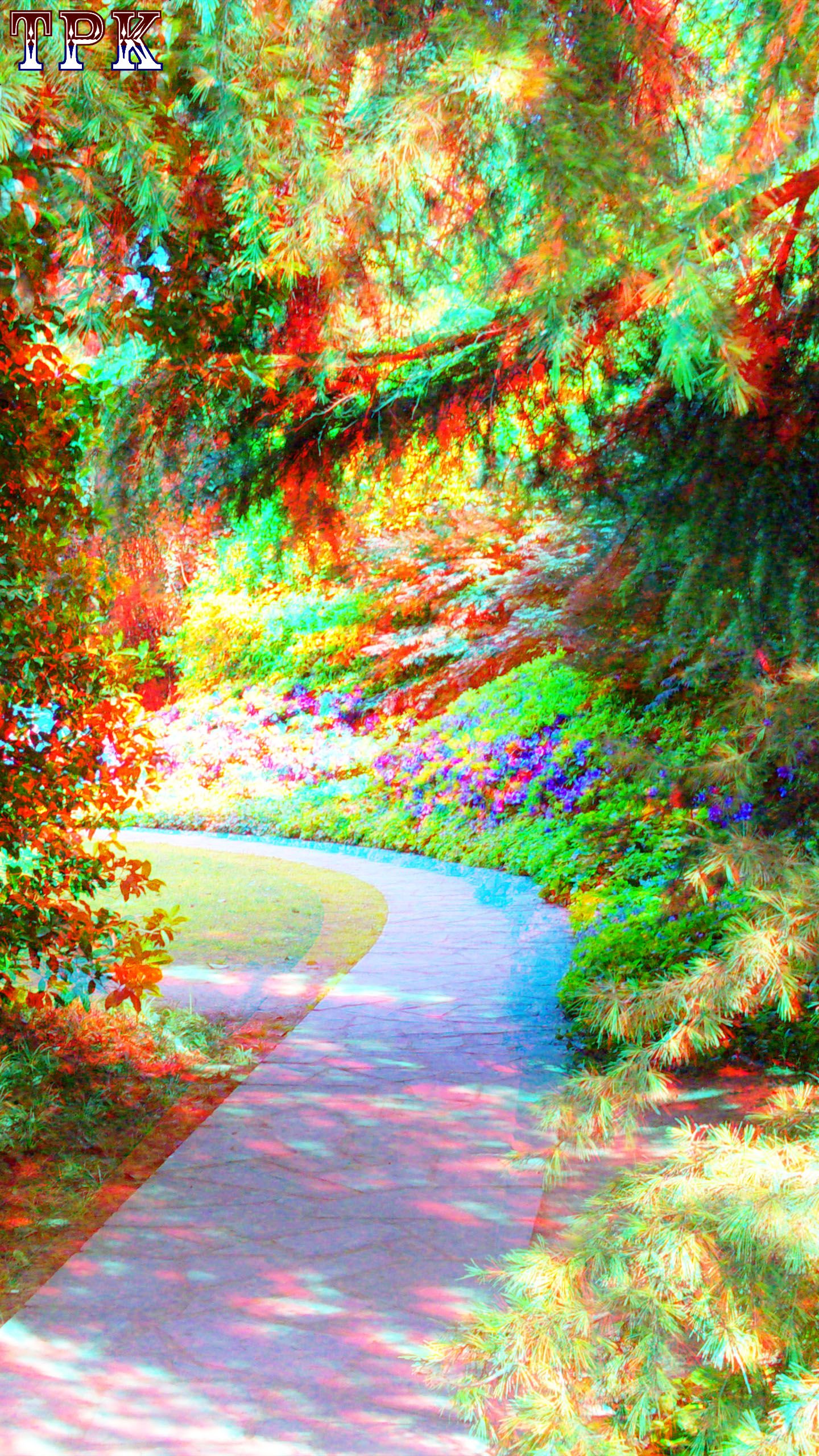 X 090501s072 916 XRC.jpg