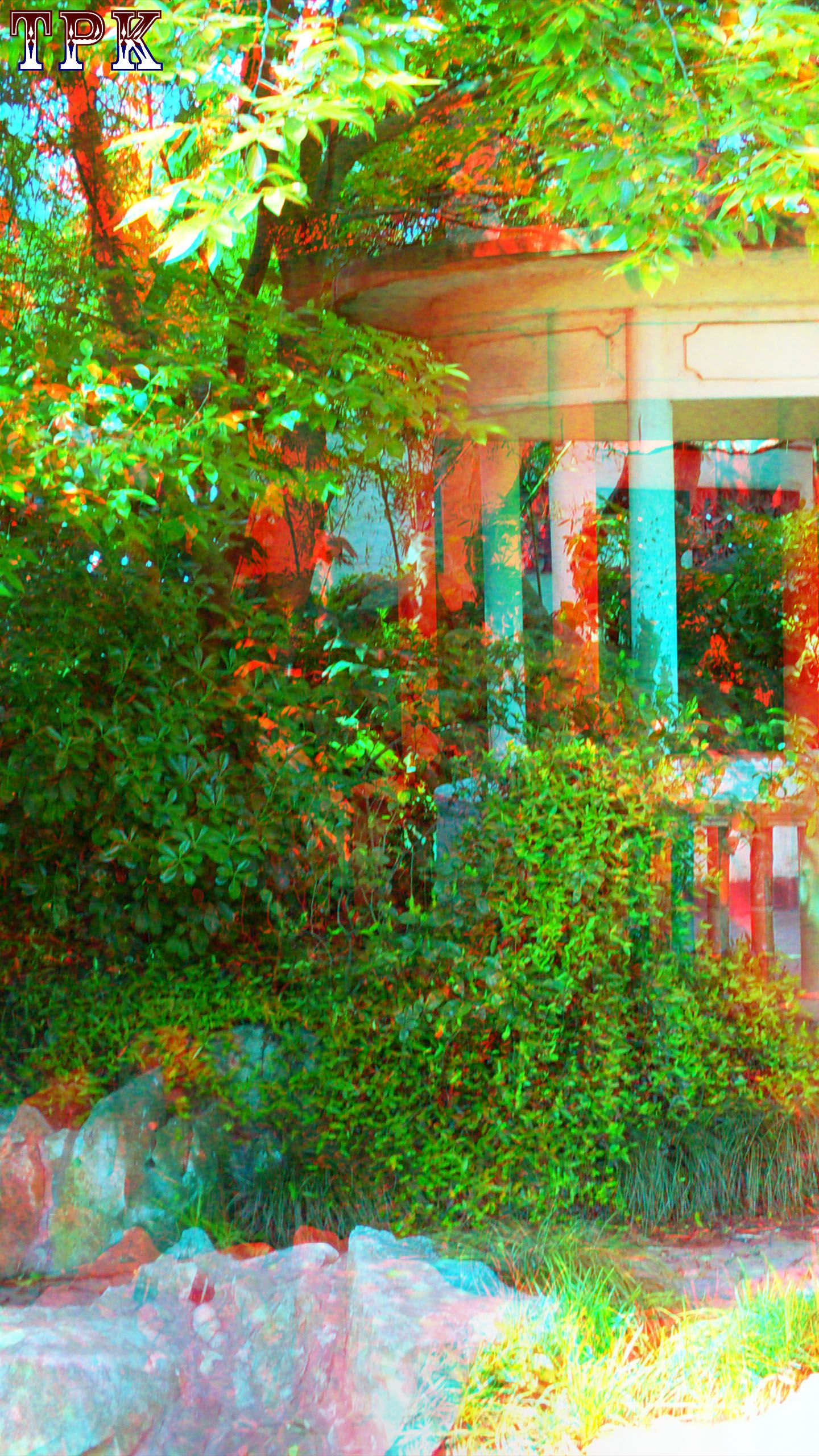 X 090501s128 916 XRC.jpg