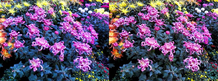 101110x002=(12) 43 +LRsY.jpg