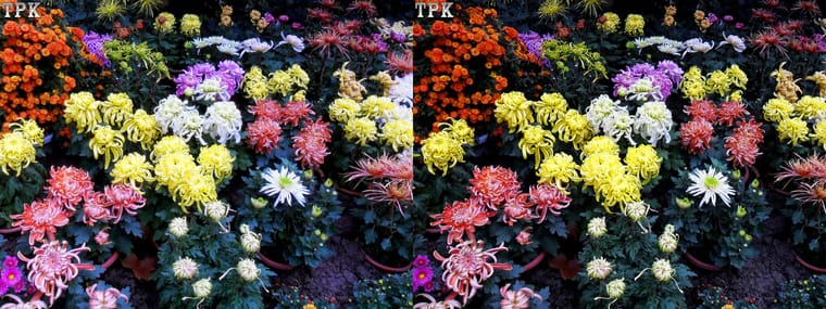 101110x003=(13) 43 +LRsY.jpg