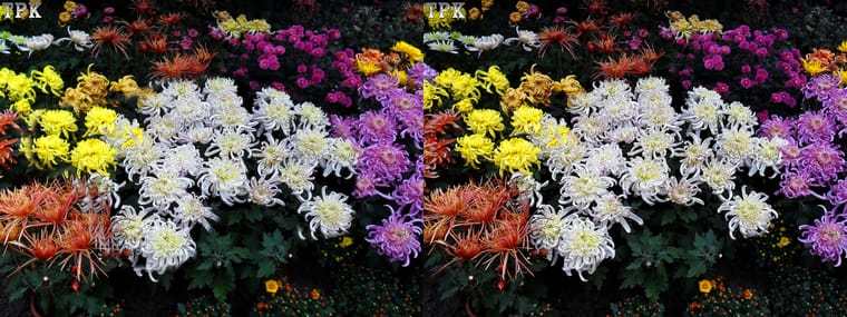 101110x004=(16) 43 +LRsY.jpg