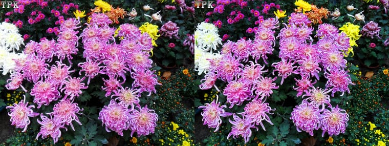 101110x005=(13) 43 +LRsY.jpg