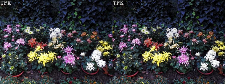 101110x006=(21) 43 +LRsY.jpg