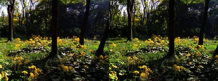 101110x008=(13) 43 +LRsY.jpg