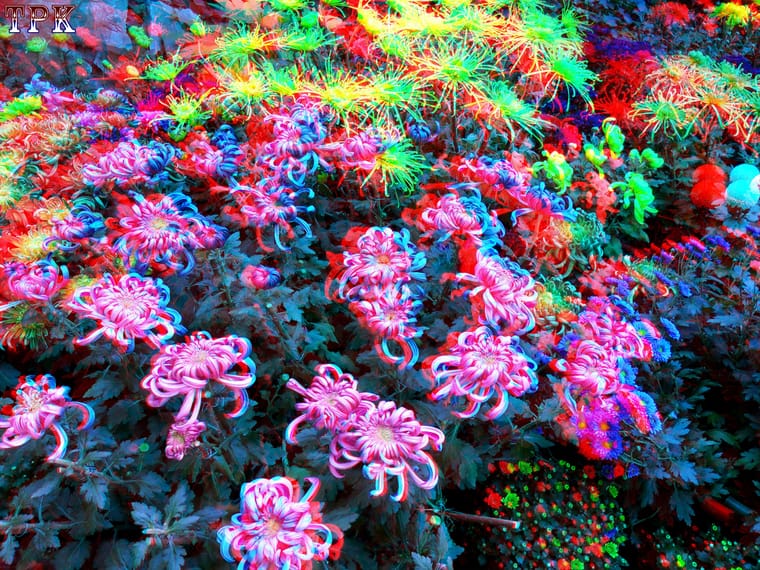 X 101110x001=(11) 43 XRCg.jpg