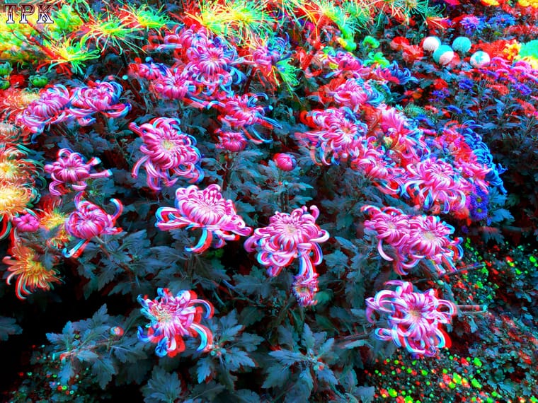 X 101110x002=(12) 43 XRC.jpg