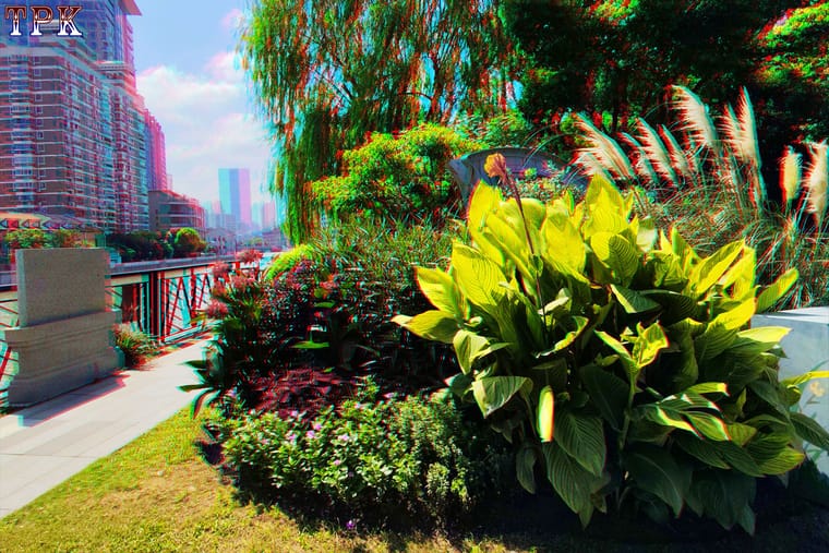 X 260828X  18(50) 32 XRC.jpg