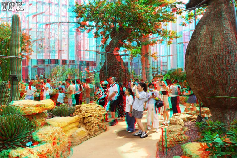 X 260926N 065(14) 32 XRC.jpg