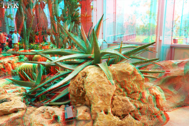 X 260926N 067(12) 32 XRC.jpg