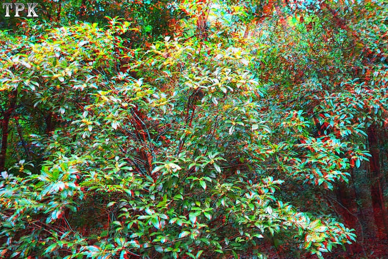 X 261013N 010(27) 32 XRC.jpg
