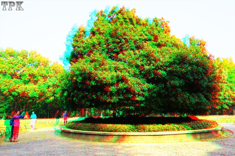 X 261013N 011(33) 32 XRC.jpg