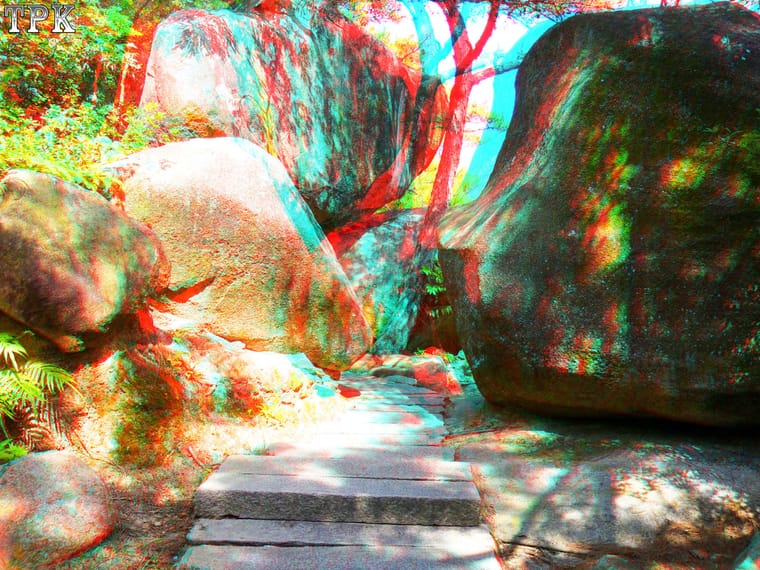 X 111005x124(16) 43 XRC.jpg